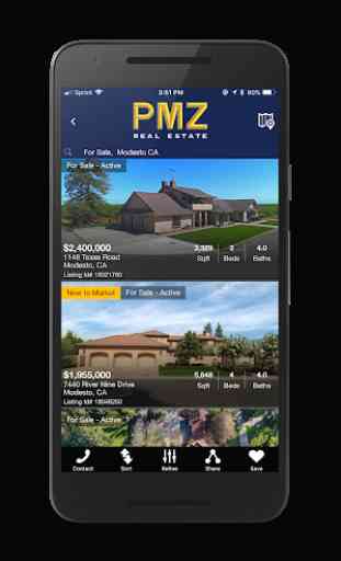 PMZ Real Estate 2