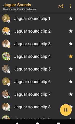 sons Jaguar - Appp.io 2