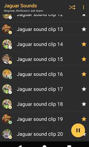 sons Jaguar - Appp.io 3