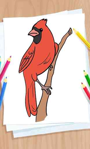 Como desenhar pássaros 1