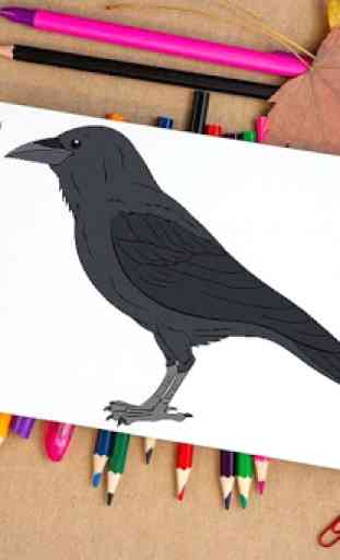 Como desenhar pássaros 4