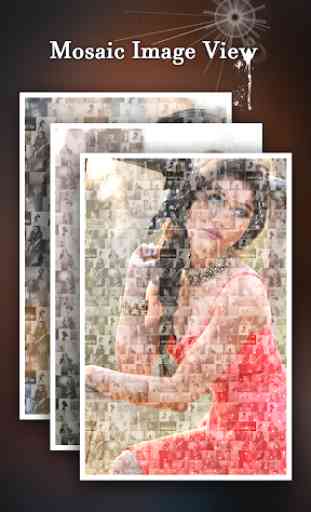 Mosaic Effect : Photo Editor and Photo Collage 2