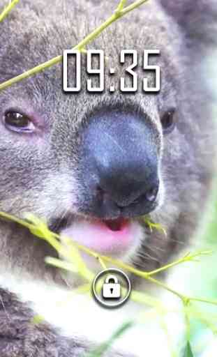 Cute Koala Live Wallpaper 3