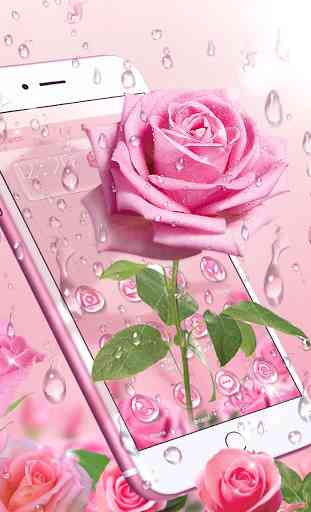 Elegante 3D Rosa rosa Tema 1