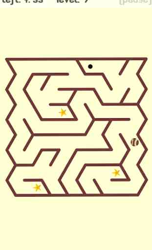 Labyrinth Puzzles: Maze-A-Maze 4
