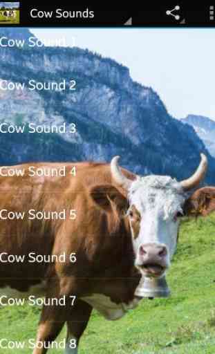 Cow Sounds 2