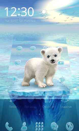 Glacier Baby Bear Theme 2