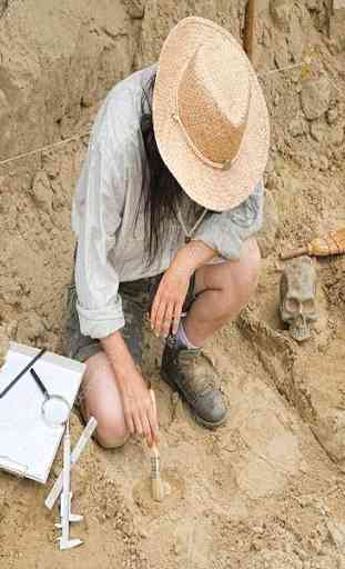 O arqueólogo - Arqueologia 2