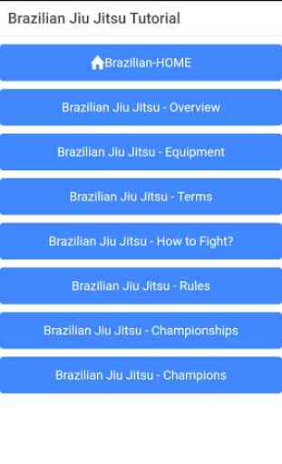 Brazilian Jiu Jitsu 2