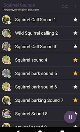 Appp.io - Sounds Esquilo 2