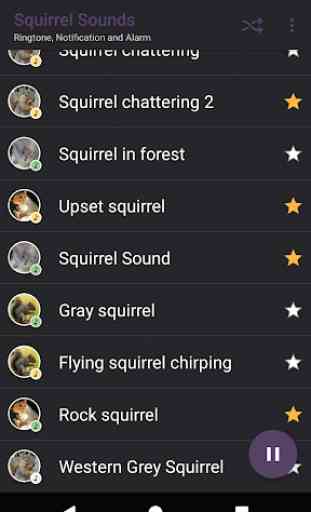 Appp.io - Sounds Esquilo 3