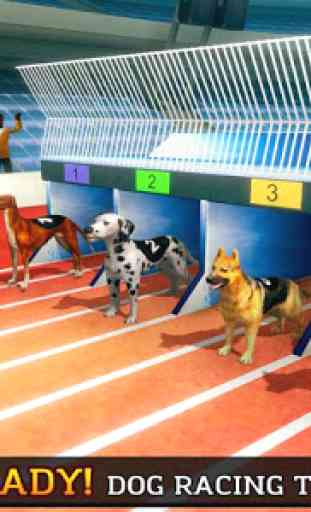 Crazy Wild Dog Racing Fever Sim 3D - Dog Race 2019 2