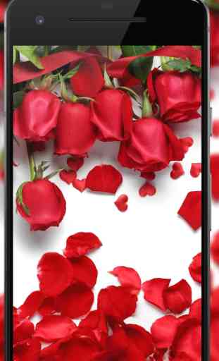 Rose Wallpaper, Floral, Flower background : Rosefy 2