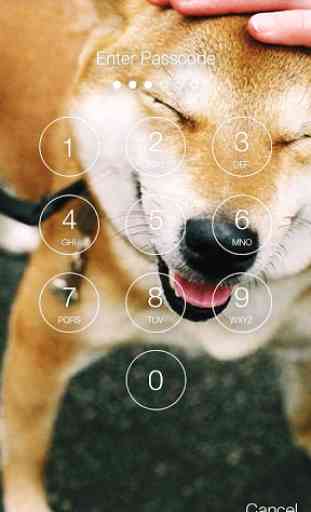 Funny Shiba Inu Dog Screen Lock 2
