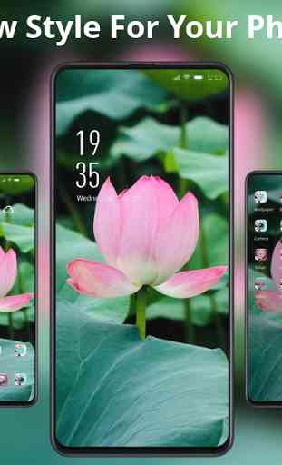 Plant lotus charming pink flower with leaves theme 2