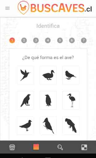 BuscAves - Identificación de aves de Chile 3