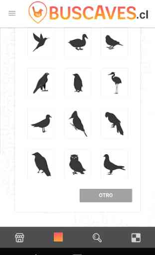 BuscAves - Identificación de aves de Chile 4