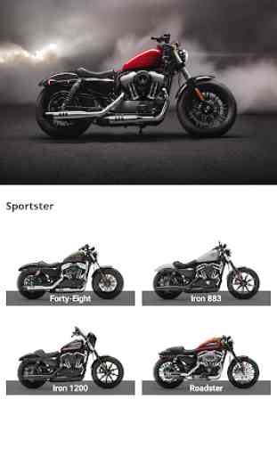 Harley Davidson -  3