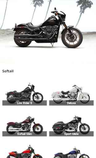 Harley Davidson -  4