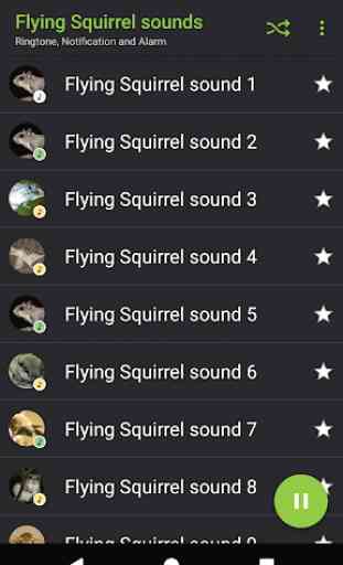 Appp.io - Flying Squirrel sons 2