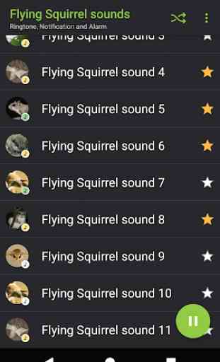 Appp.io - Flying Squirrel sons 3