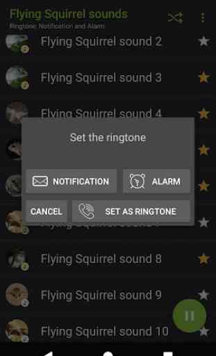 Appp.io - Flying Squirrel sons 4