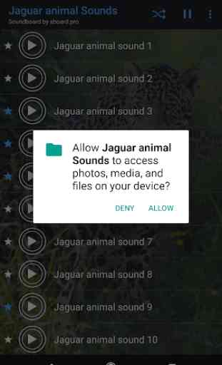 Jaguar (Animal) soa ~ Sboard.pro 2