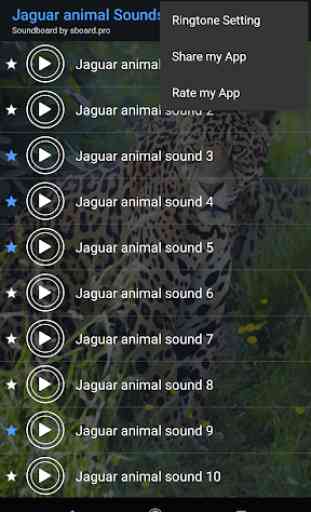 Jaguar (Animal) soa ~ Sboard.pro 4
