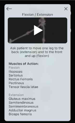 Musculoskeletal Pro Consult 3