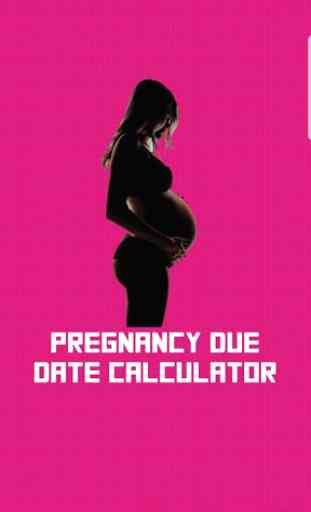 Calculadora de data de vencimento da gravidez 2