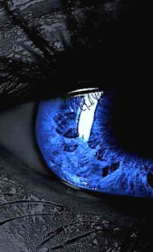 Blue Eyes. Hot Wallpapers 2