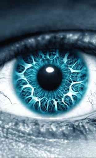 Blue Eyes. Hot Wallpapers 3