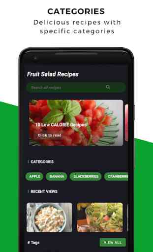 Fruit Salad Recipes Offline: Healthy Salad Recipes 2