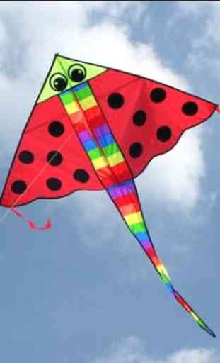 Idéias de design fácil kite 2