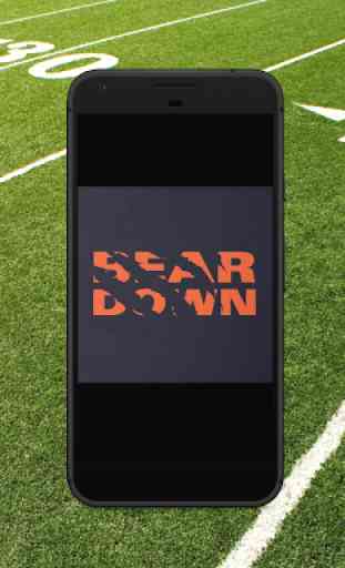 Wallpapers for Chicago Bears Fans 2