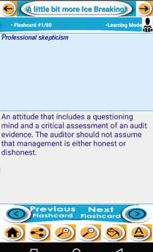 Certified Public Accountant (CPA) - AUDIT Exam Rev 4