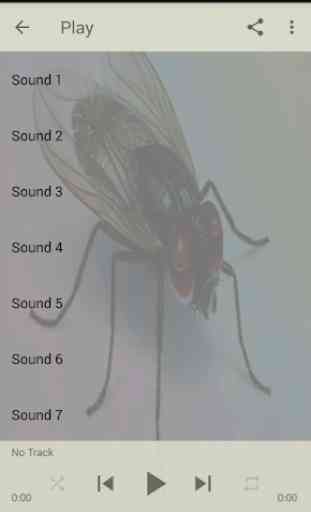 Fly sounds 1