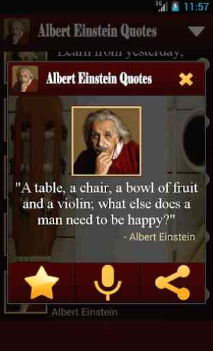 Albert Einstein Quotes Free 4
