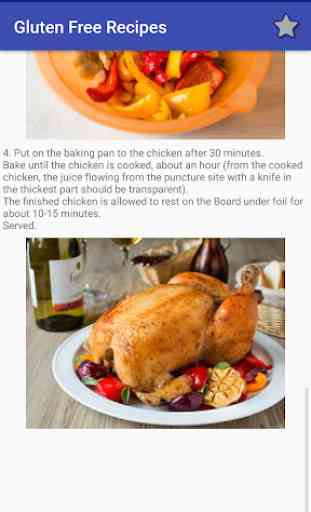 Gluten Free Meals Recipes 3