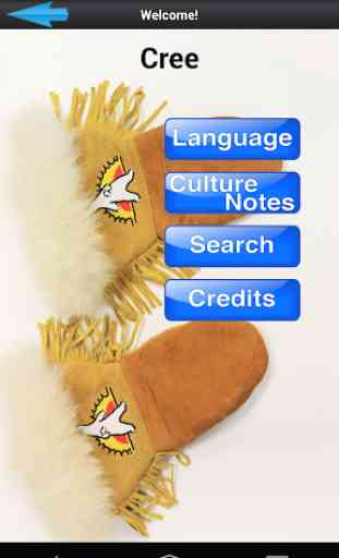 KOBE Learn Cree 1