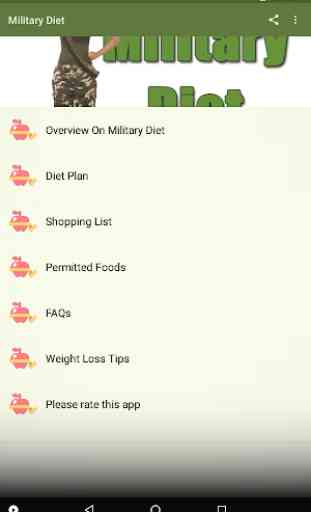 Military Diet 2