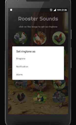 Rooster Alarm and Ringtone 2