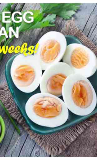 Boiled Egg Diet Secret Plan 1