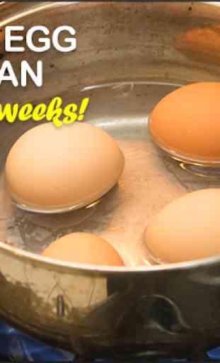 Boiled Egg Diet Secret Plan 2