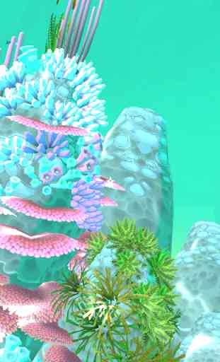 PI VR Coral Reefs 3