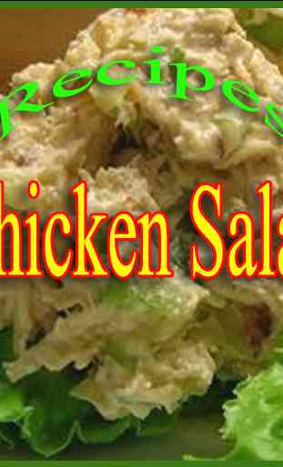Receitas de salada de frango 2