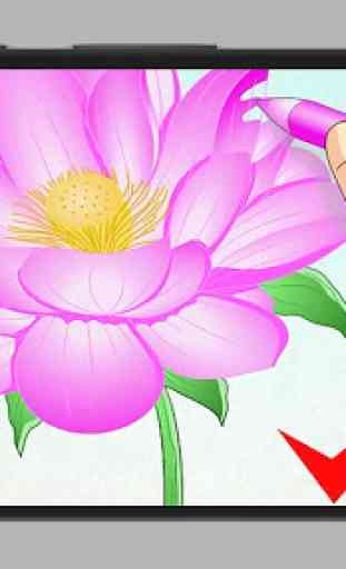 How to Draw a Lotus Flower 1