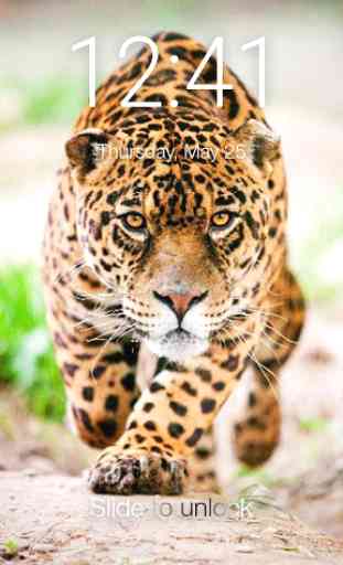 Jaguar Cat Screen Lock 1