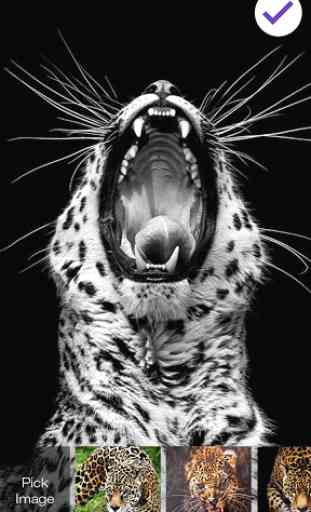 Jaguar Cat Screen Lock 3