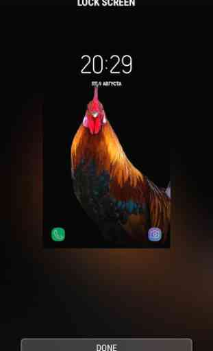 Rooster - RINGTONES and WALLPAPERS 4
